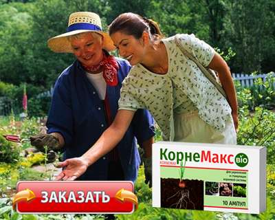Заказать КорнеМакс на официальном сайте.