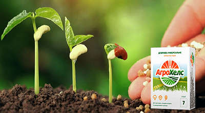 agrohels-dlya-rosta