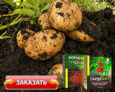 Удобрения Корнефит и Гардефит купить по доступной цене.