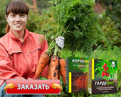Заказать Корнефит и Гардефит на официальном сайте.