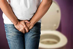 Лекарство Urolex прекращает восспаление.